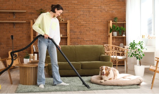 Τι να προσέξω όταν αγοράζω ηλεκτρική σκούπα;