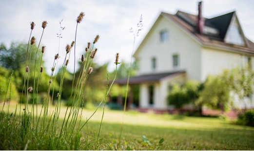 🌞 Το Καλοκαίρι έχει μυρωδιά εξοχικού!