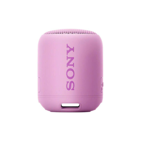 Sony SRSXB12V.CE7 Portable Wireless Speaker Violet